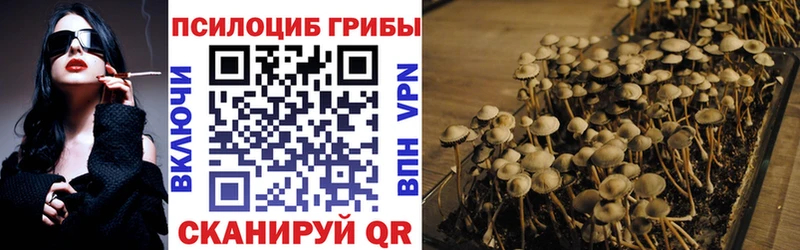 Псилоцибиновые грибы MAGIC MUSHROOMS  Заинск 