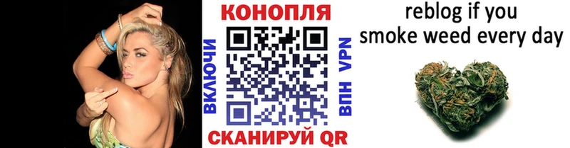 OMG   Заинск  Шишки марихуана SATIVA & INDICA 